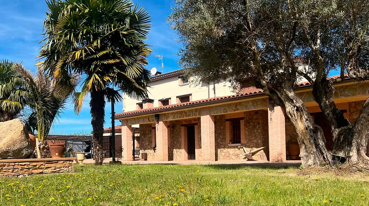 Los Olivos de Miróbriga